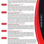 A red and black curriculum vitae with several lines.